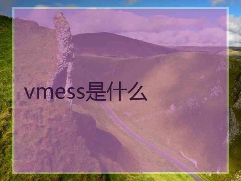 vmess是什么