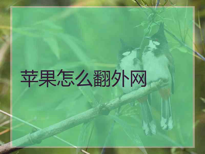 苹果怎么翻外网