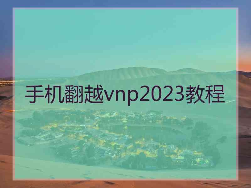 手机翻越vnp2023教程