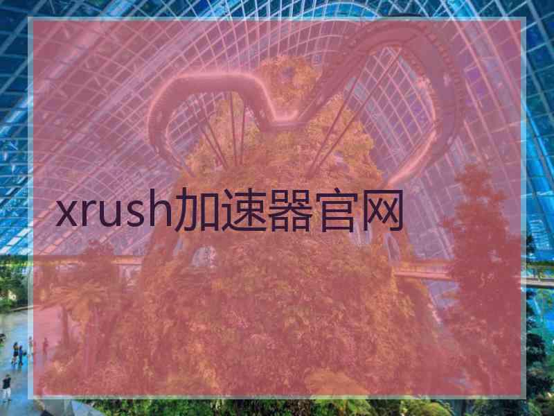 xrush加速器官网