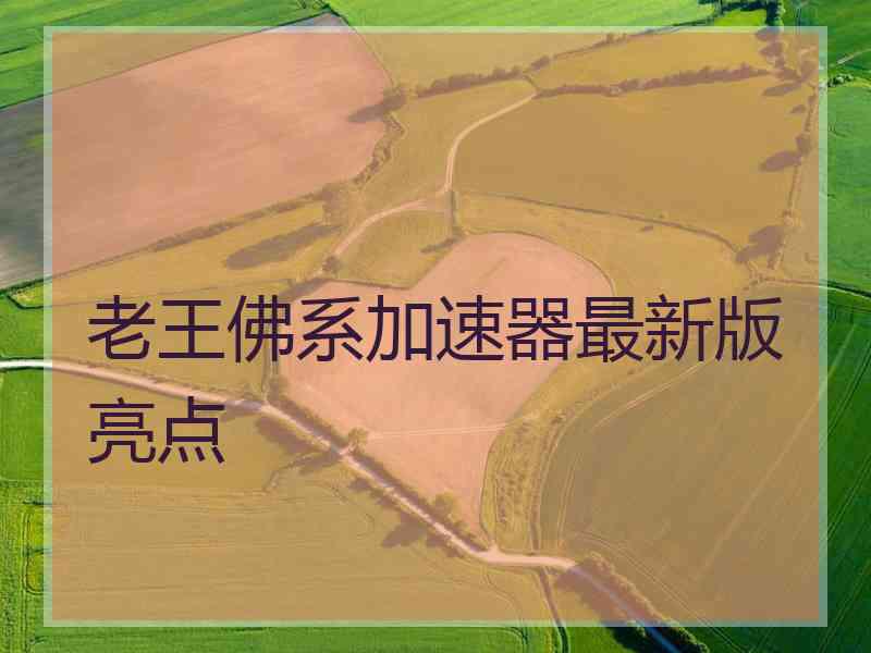 老王佛系加速器最新版亮点