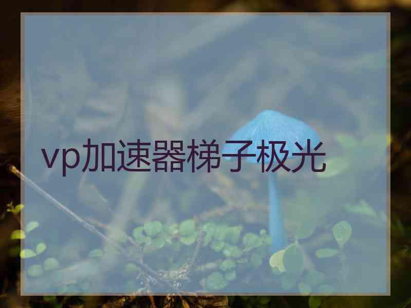 vp加速器梯子极光