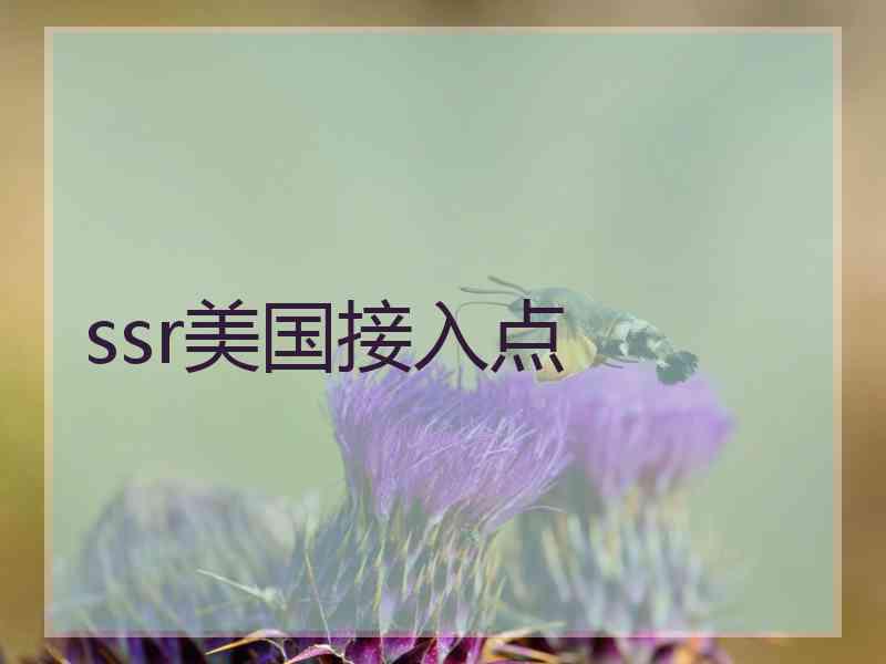 ssr美国接入点