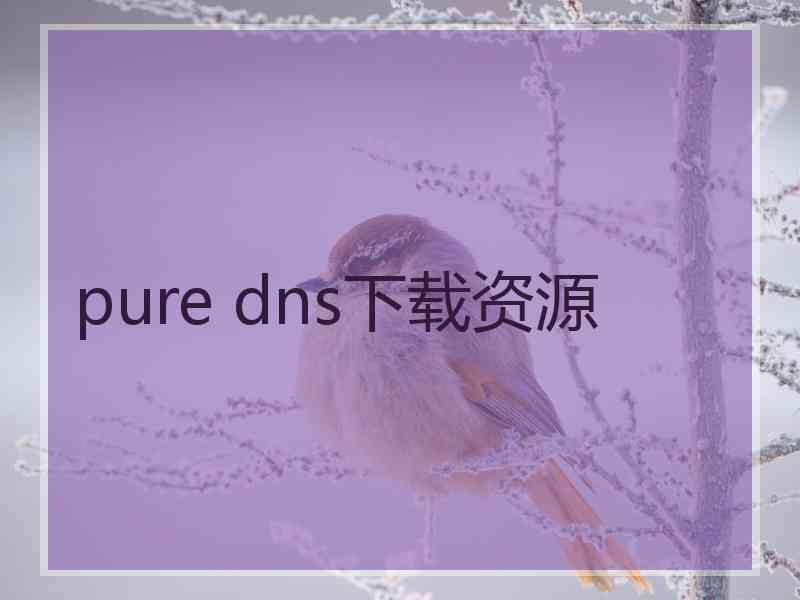 pure dns下载资源