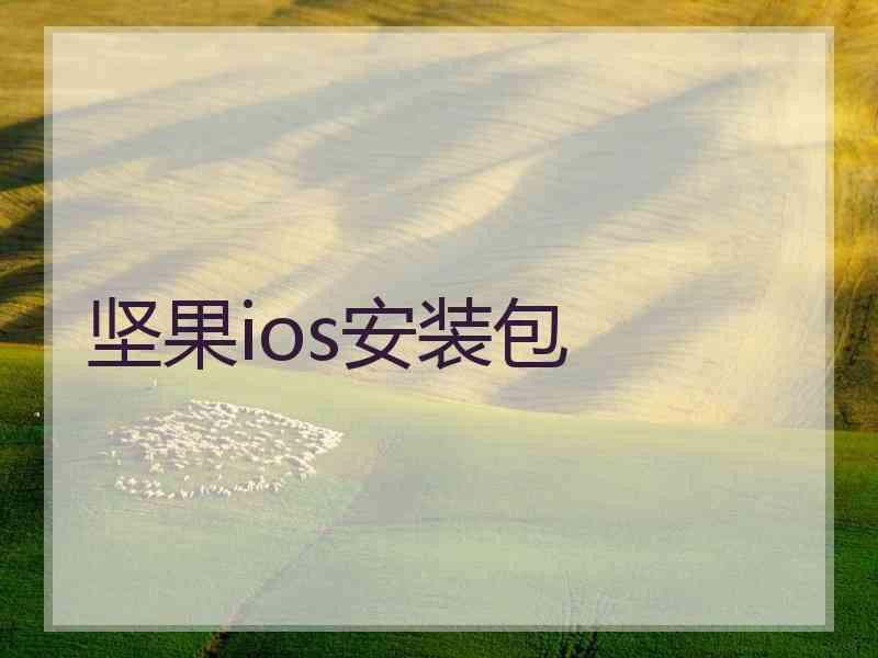 坚果ios安装包