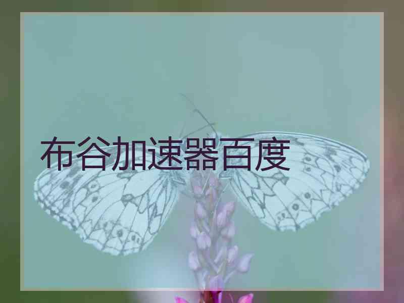 布谷加速器百度