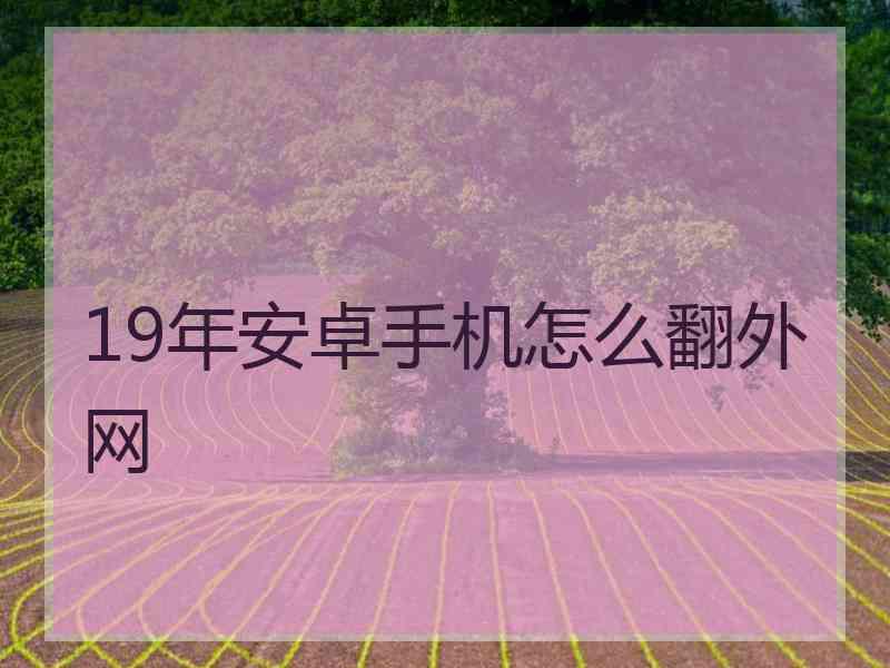 19年安卓手机怎么翻外网