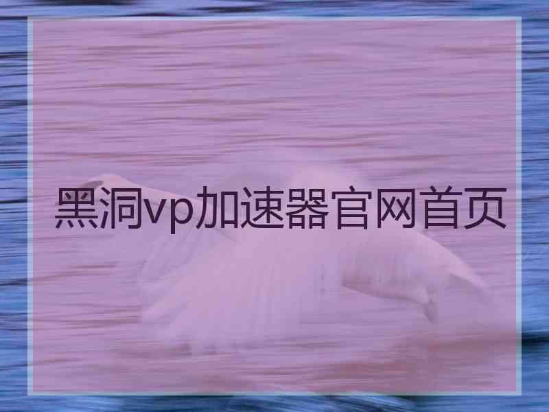 黑洞vp加速器官网首页