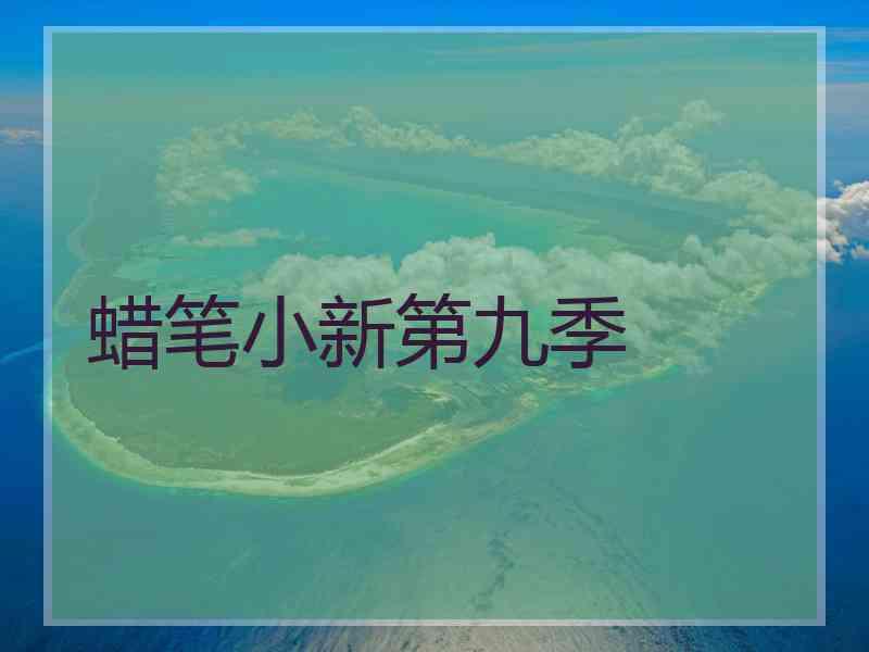 蜡笔小新第九季