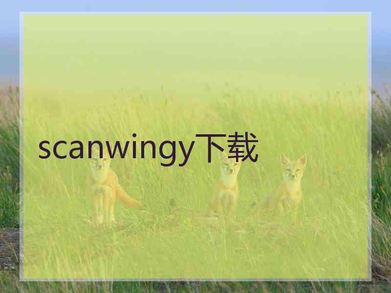 scanwingy下载