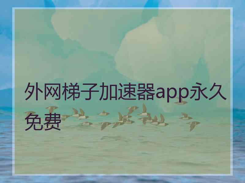 外网梯子加速器app永久免费