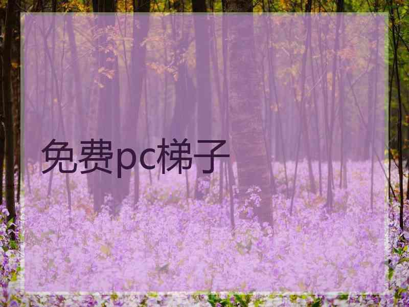 免费pc梯子