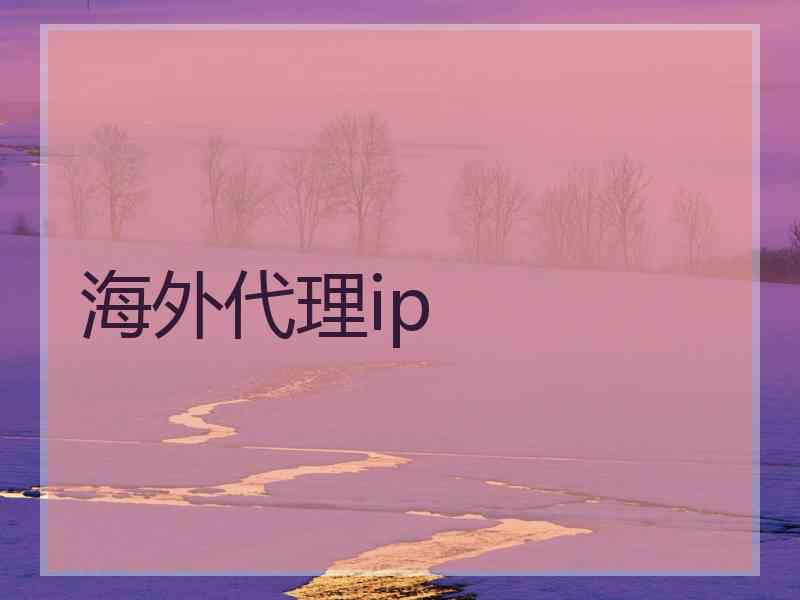 海外代理ip