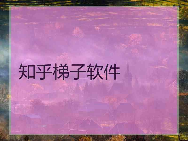 知乎梯子软件