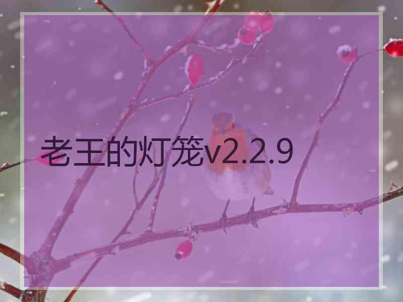 老王的灯笼v2.2.9