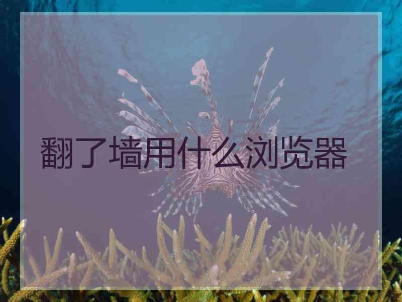 翻了墙用什么浏览器