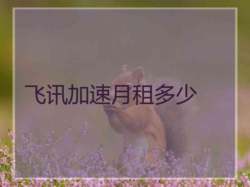 飞讯加速月租多少