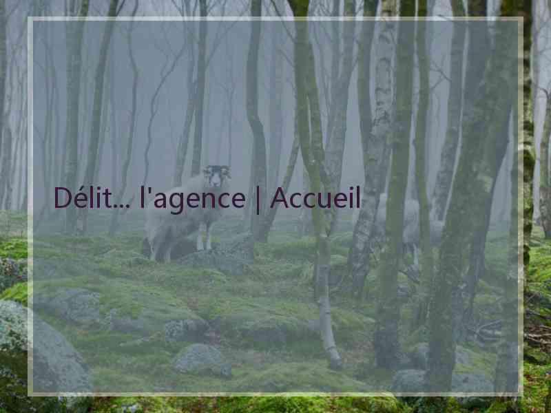 Délit... l'agence | Accueil