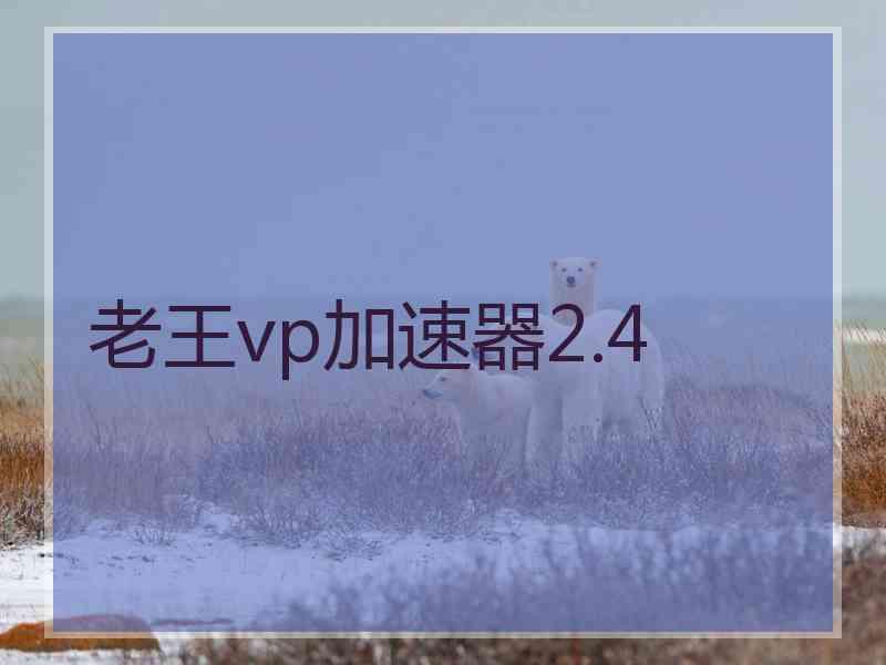 老王vp加速器2.4