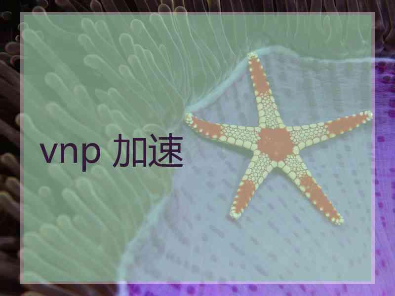 vnp 加速