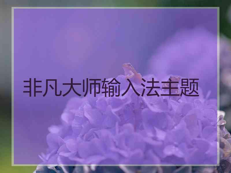 非凡大师输入法主题