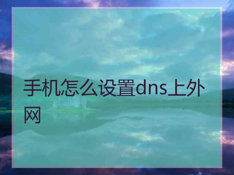 手机怎么设置dns上外网