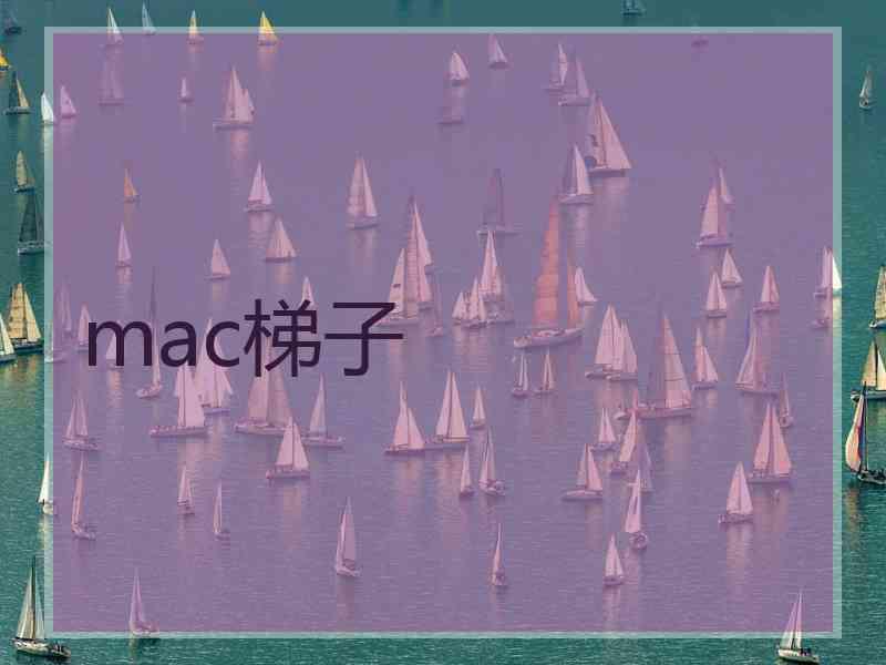 mac梯子