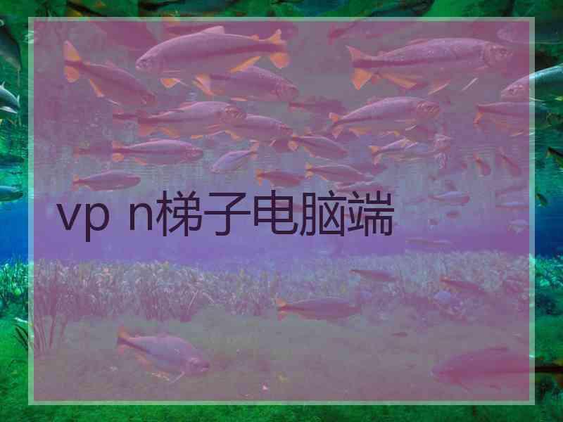 vp n梯子电脑端