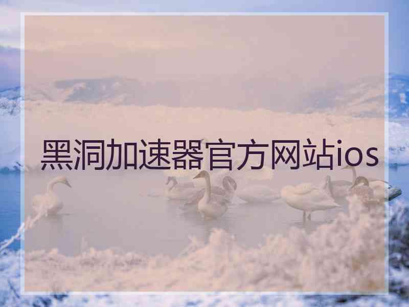 黑洞加速器官方网站ios