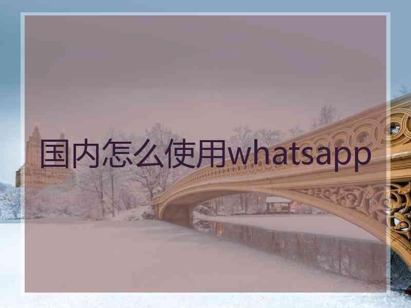 国内怎么使用whatsapp