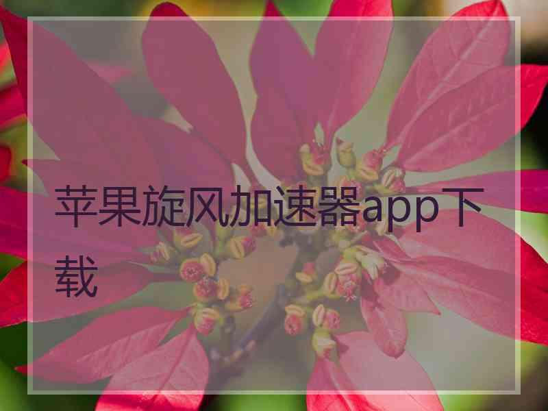 苹果旋风加速器app下载