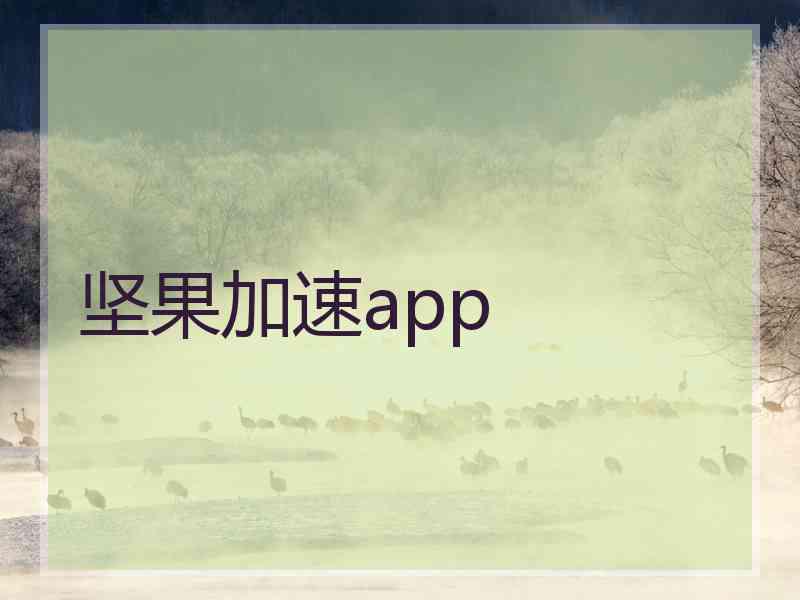 坚果加速app