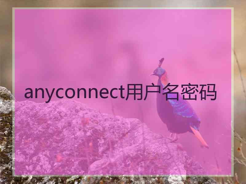 anyconnect用户名密码