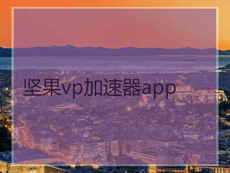 坚果vp加速器app