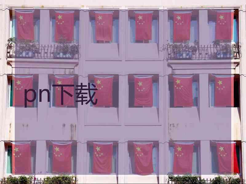 pn下载