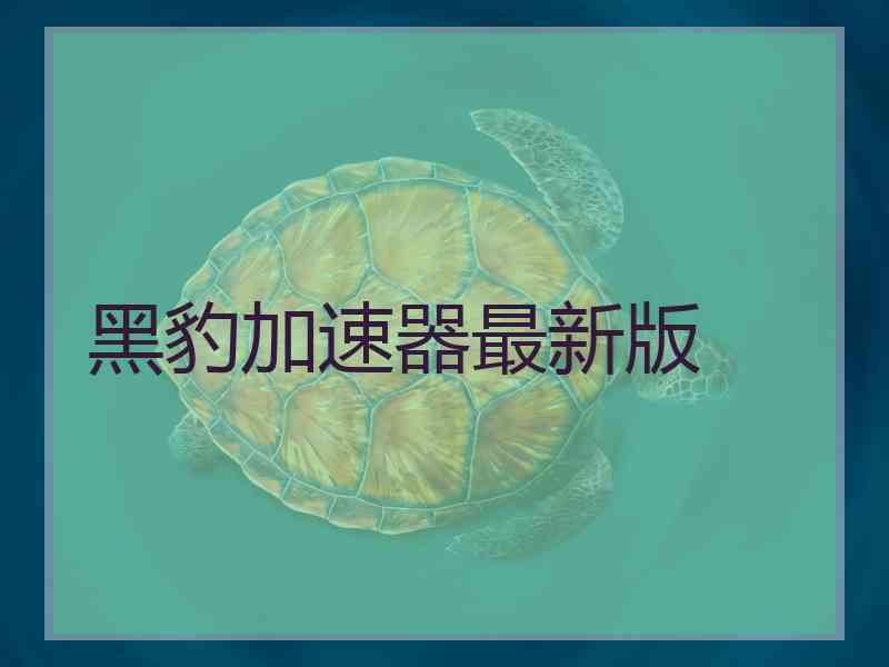 黑豹加速器最新版