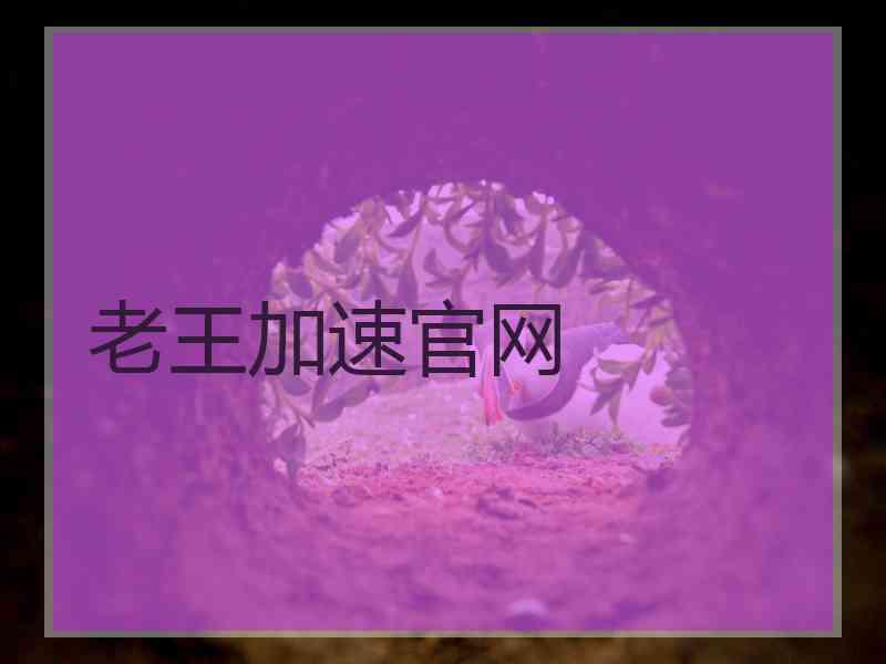 老王加速官网