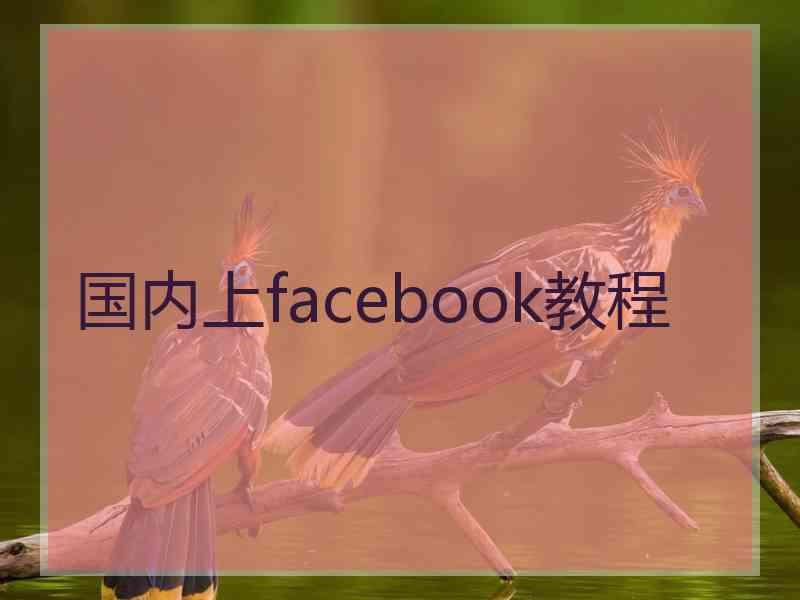 国内上facebook教程