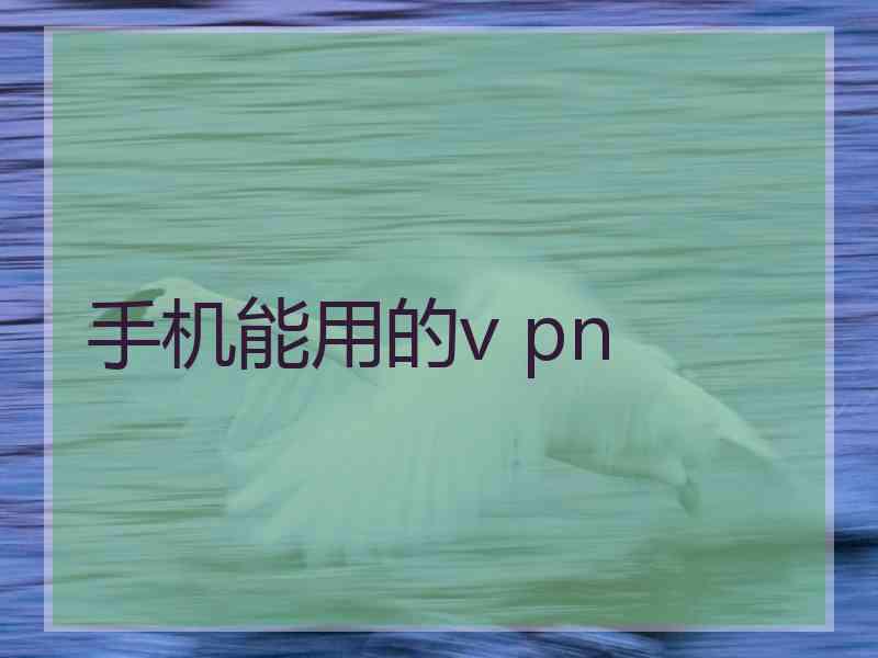 手机能用的v pn