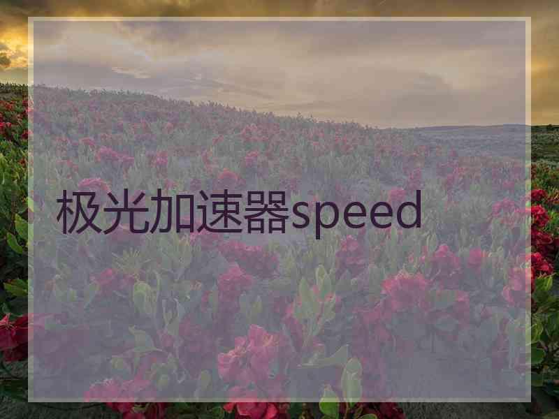 极光加速器speed