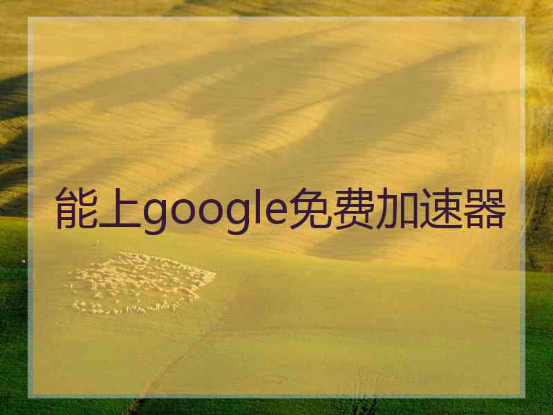 能上google免费加速器