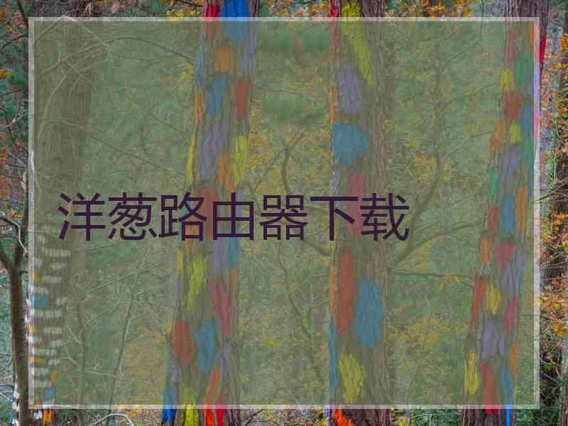 洋葱路由器下载