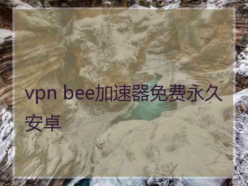 vpn bee加速器免费永久安卓