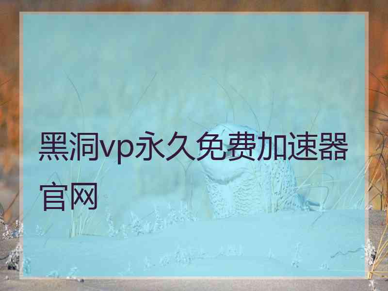 黑洞vp永久免费加速器官网
