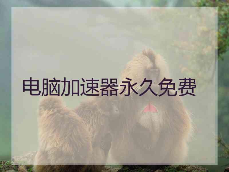 电脑加速器永久免费