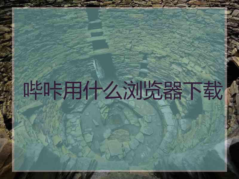 哔咔用什么浏览器下载