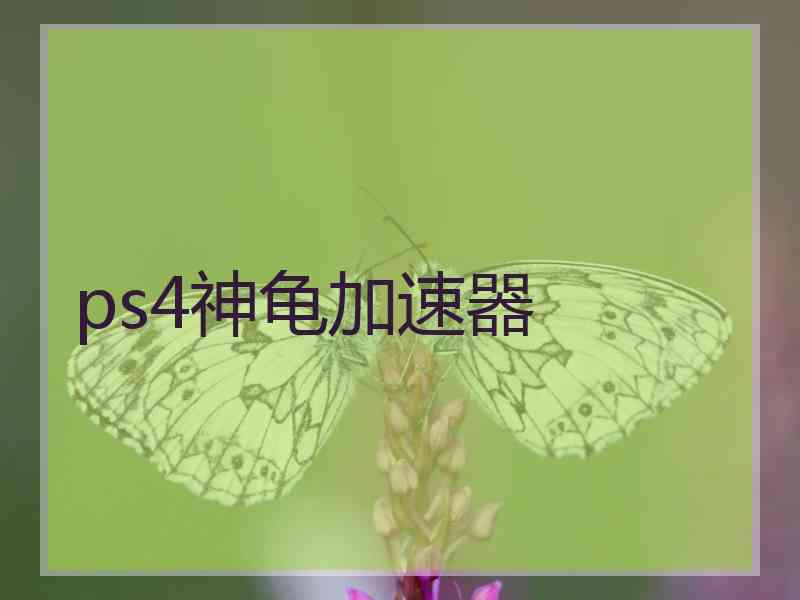 ps4神龟加速器