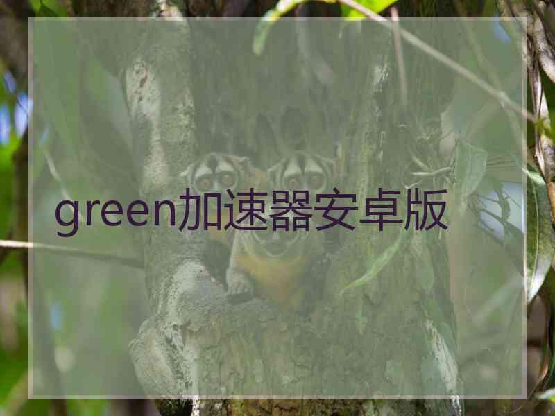 green加速器安卓版