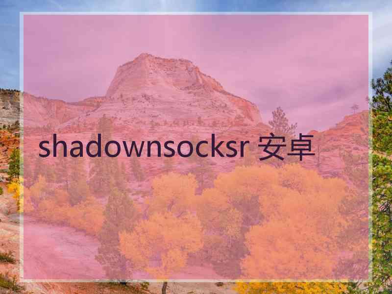 shadownsocksr 安卓