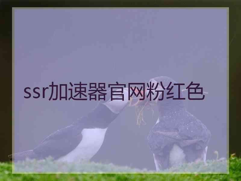 ssr加速器官网粉红色